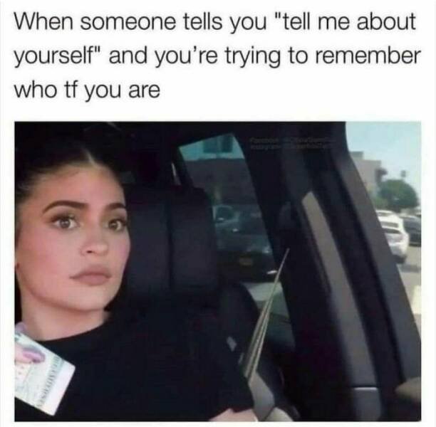 Memes For Introverts (48 pics)
