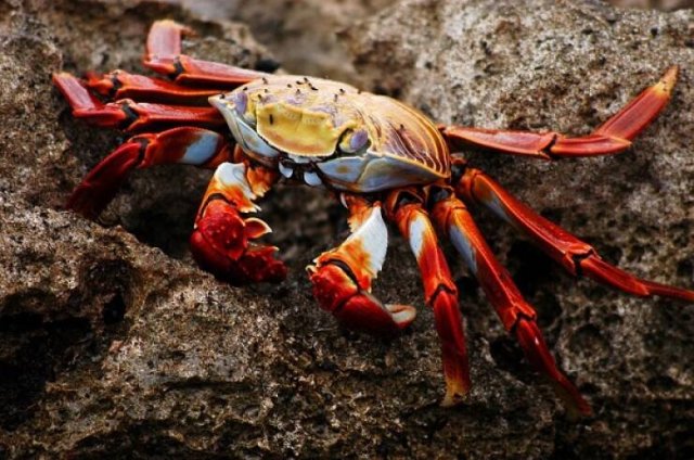 Unusual Thoughts (24 pics)