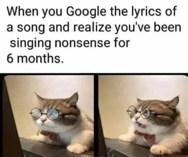 Truthful Memes (28 pics)