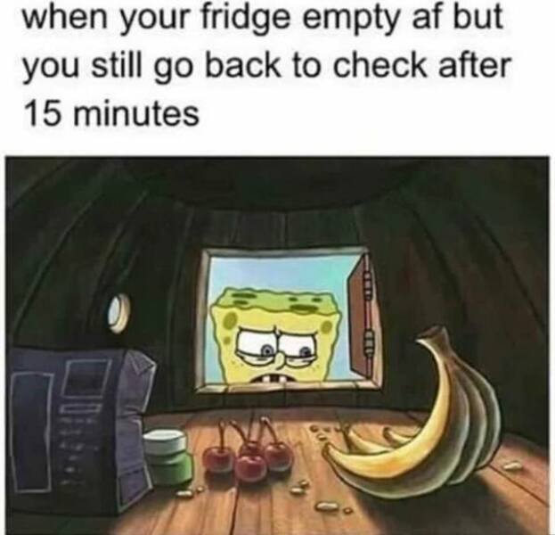 Truthful Memes (28 pics)