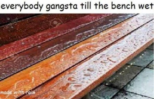 Truthful Memes (28 pics)