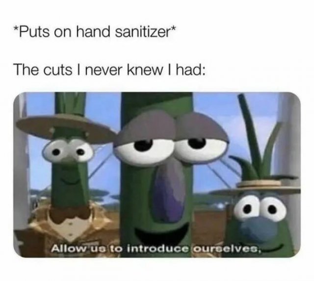 Truthful Memes (28 pics)