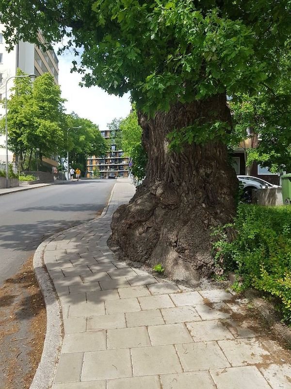 Interesting Urban Designs (29 pics)