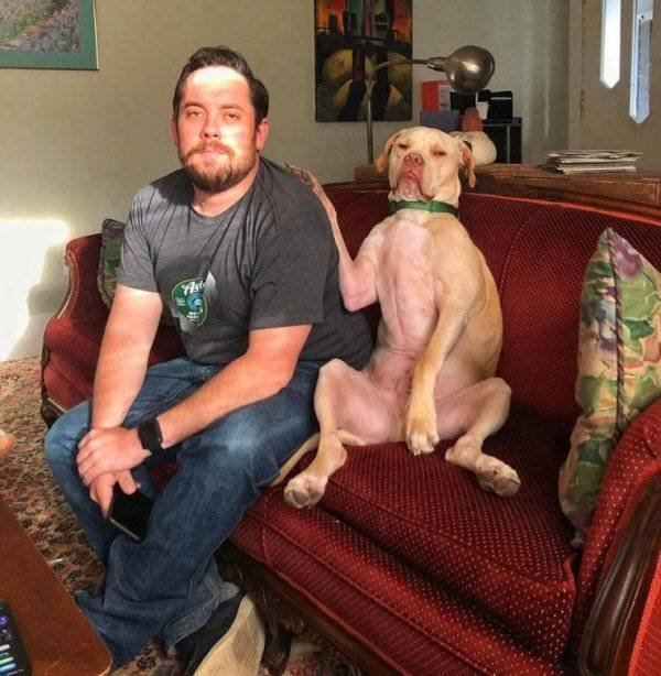 Funny Animals (62 pics)