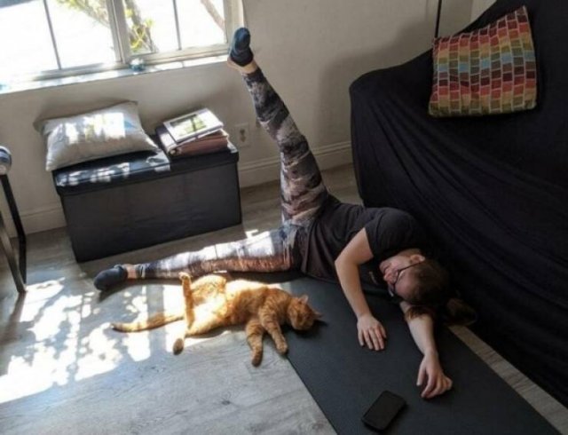 Funny Animals (62 pics)