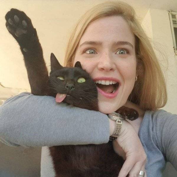 Funny Animals (62 pics)