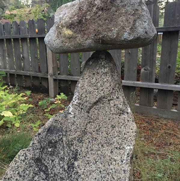 What Is Going On Here? (41 pics)