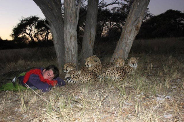 Unexpected Finds And Situations (59 pics)