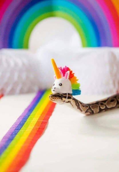 Unexpected Finds And Situations (59 pics)