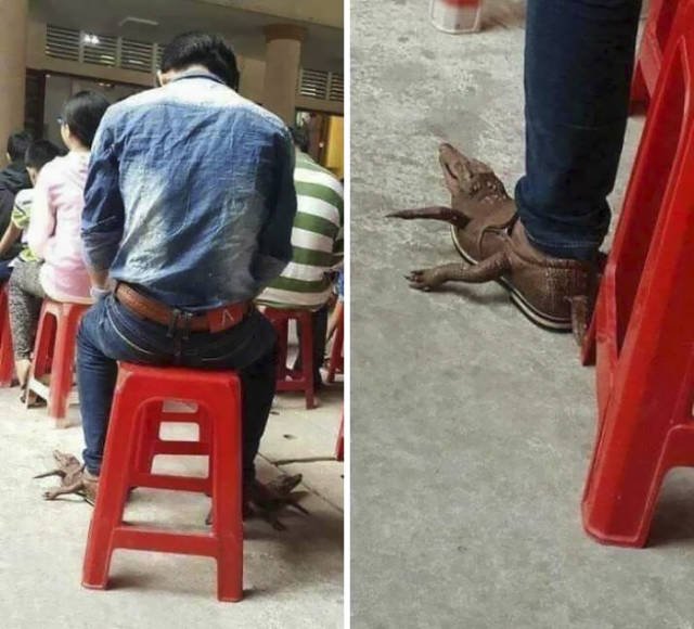 Unexpected Finds And Situations (59 pics)