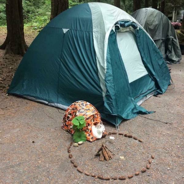 Unexpected Finds And Situations (59 pics)