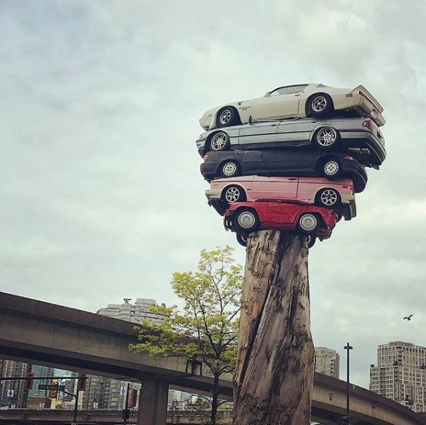 What Is Going On Here? (41 pics)