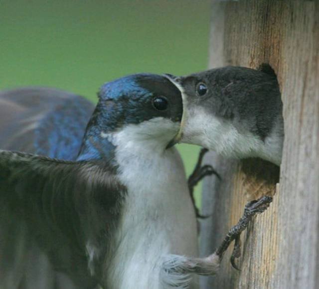 Unexpected Finds And Situations (59 pics)