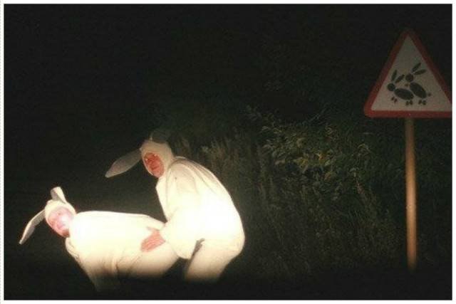 What Is Going On Here? (41 pics)