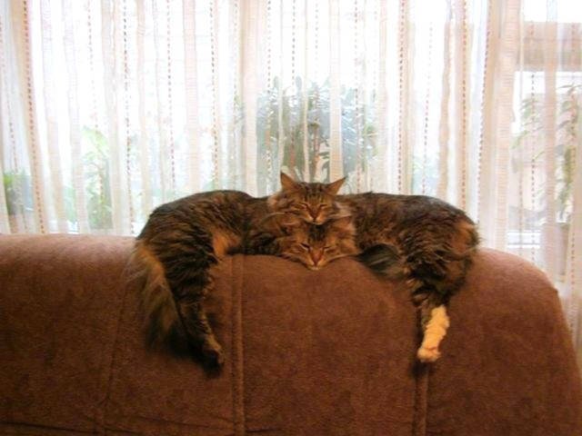 Unexpected Finds And Situations (59 pics)