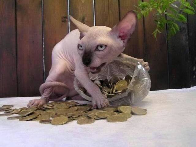 Unexpected Finds And Situations (59 pics)