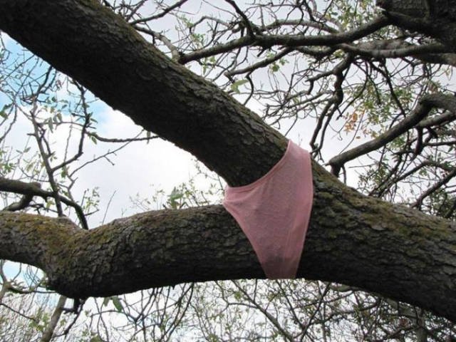 Unexpected Finds And Situations (59 pics)