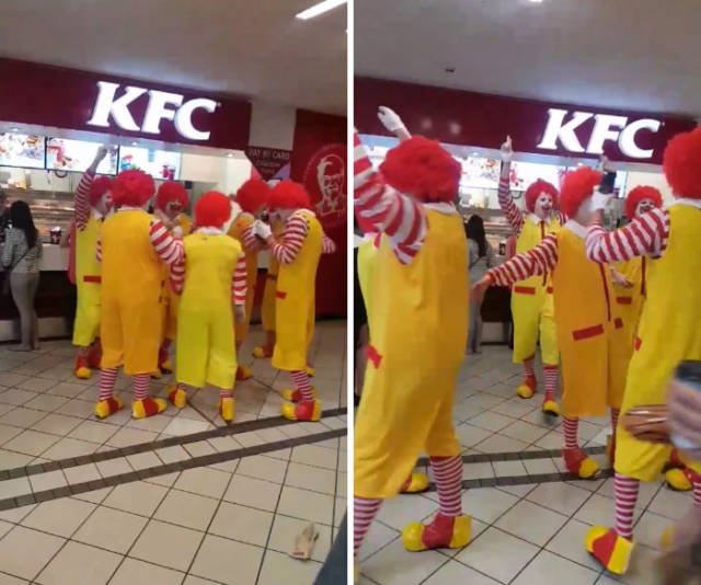 Unexpected Finds And Situations (59 pics)