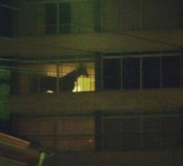 Unexpected Finds And Situations (59 pics)