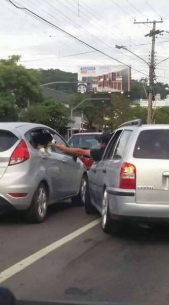 Unexpected Finds And Situations (59 pics)