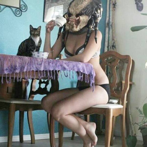 What Is Going On Here? (41 pics)