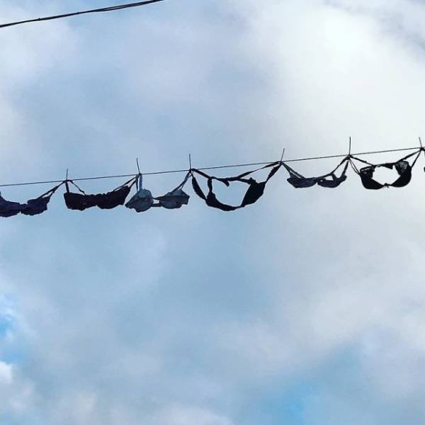 What Is Going On Here? (41 pics)