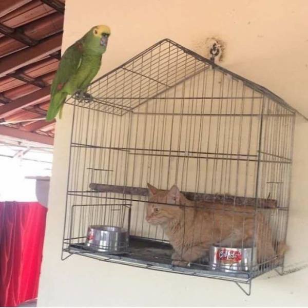 Unexpected Finds And Situations (59 pics)