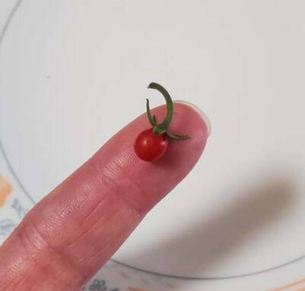 Inspiring Stories Of People (15 pics)