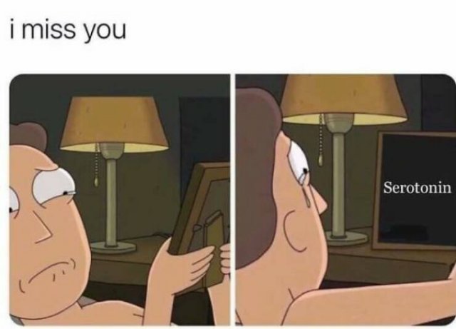 Funny Memes (49 pics)