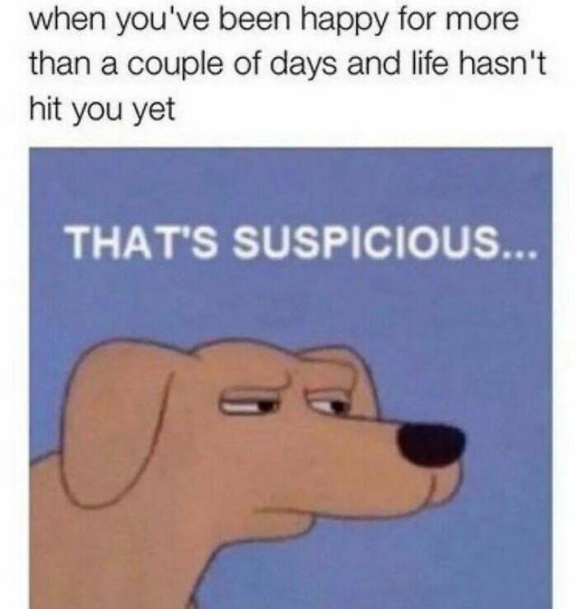 Funny Memes (49 pics)