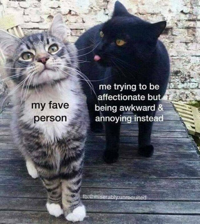 Funny Memes (49 pics)