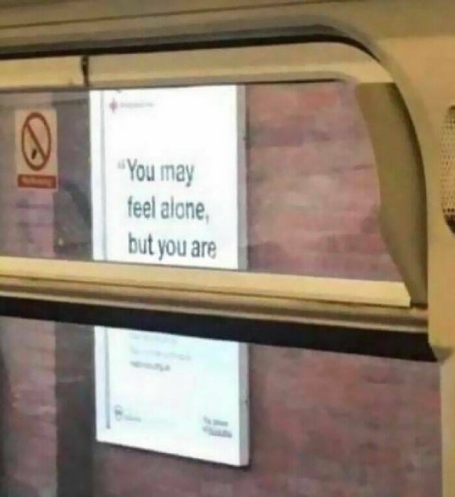 Funny Memes (49 pics)