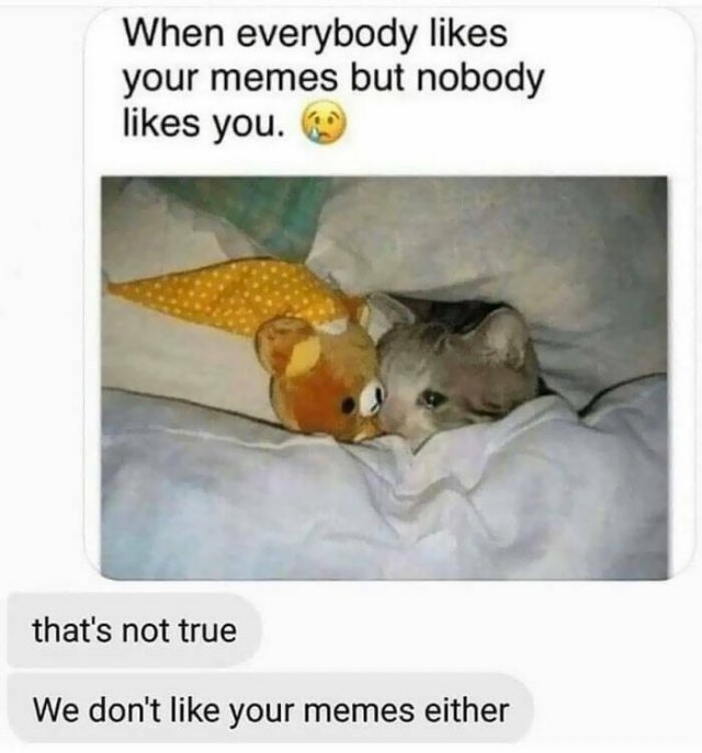 Funny Memes (49 pics)