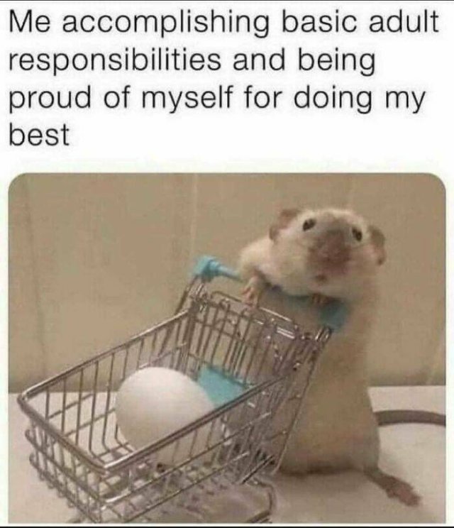 Funny Memes (49 pics)