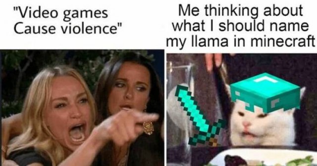Pictures For Gamers (47 pics)