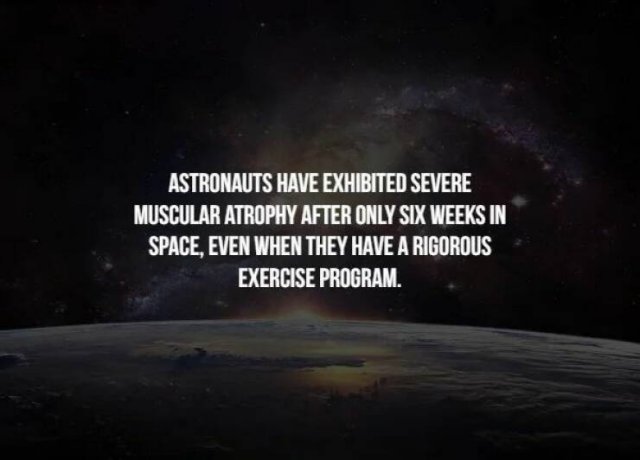 Creepy Facts (31 pics)