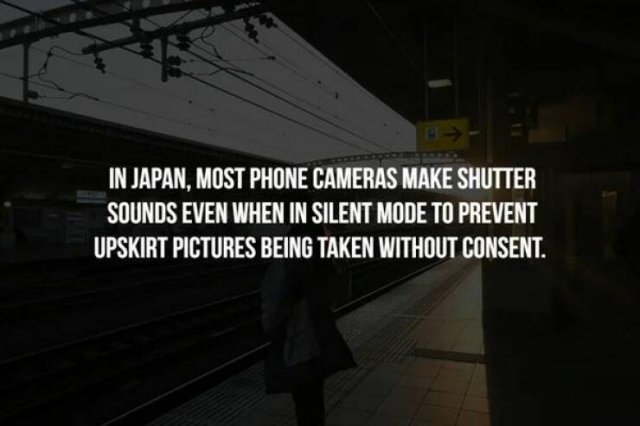 Creepy Facts (31 pics)