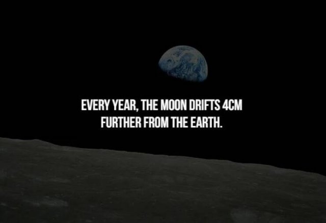 Creepy Facts (31 pics)