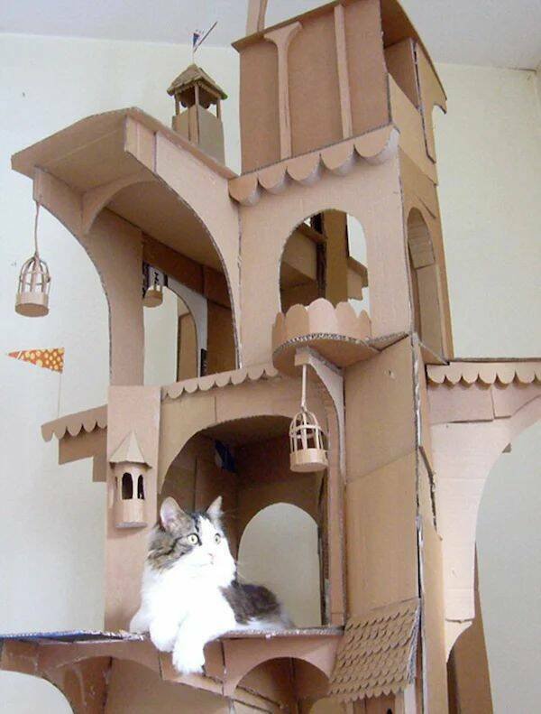 Funny Animals (52 pics)