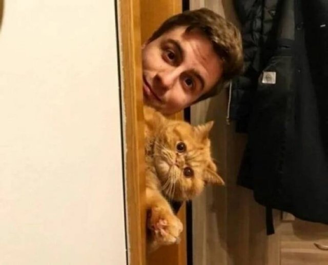 Funny Animals (52 pics)