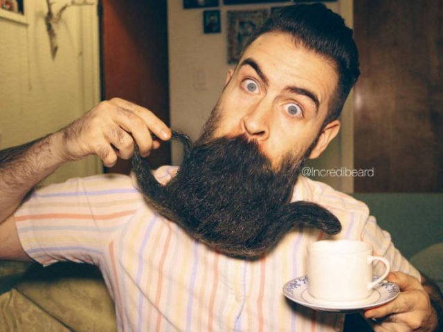 Odd Beards (22 pics)