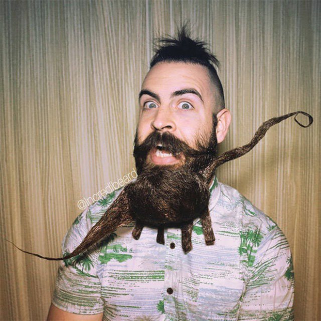 Odd Beards (22 pics)