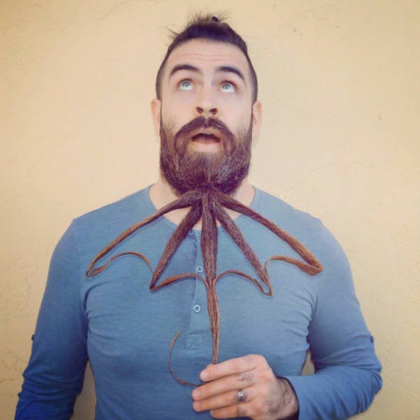 Odd Beards (22 pics)