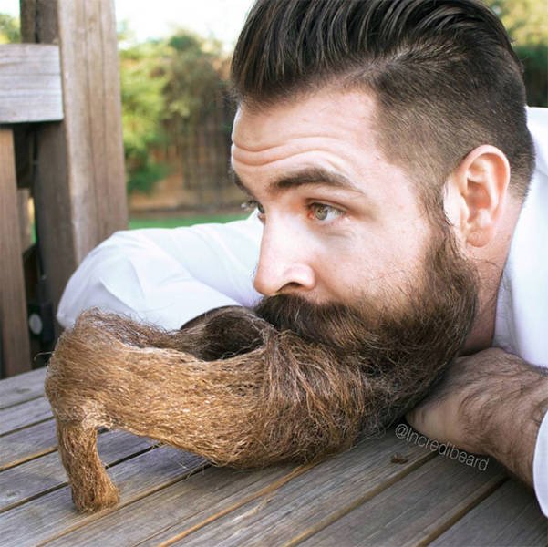 Odd Beards (22 pics)