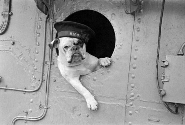 Amazing Historical Photos (39 pics)