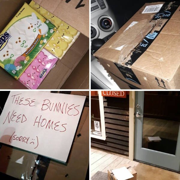 Cool And Funny April Pranks (46 pics)