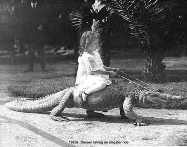Amazing Historical Photos (39 pics)