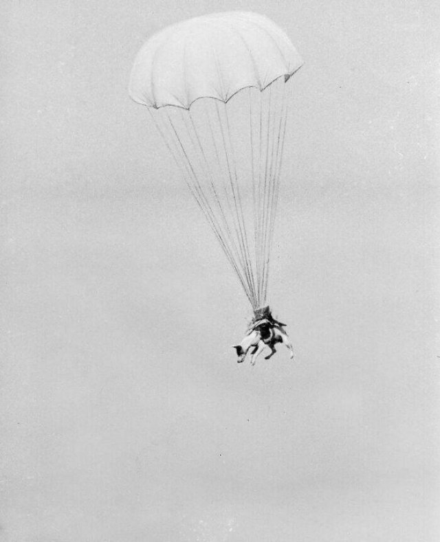 Amazing Historical Photos (39 pics)