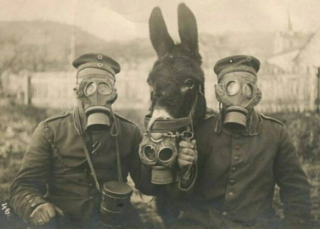 Amazing Historical Photos (39 pics)