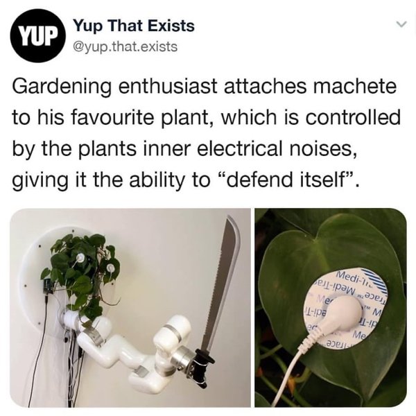 Great Garden Achievements (25 pics)